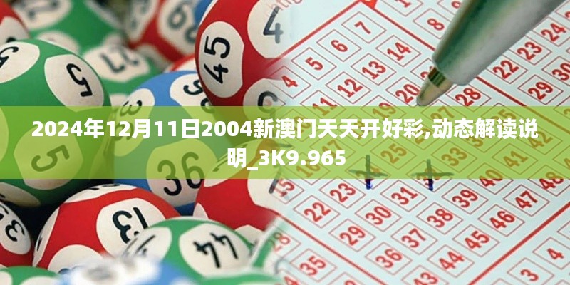 2024年12月11日2004新澳门天天开好彩,动态解读说明_3K9.965