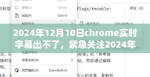 2024年12月10日Chrome实时字幕功能故障解析与应对