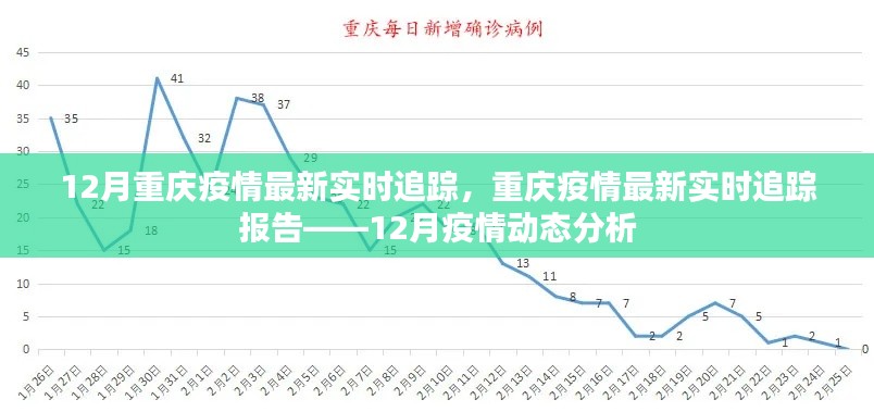 重庆疫情最新实时追踪报告，12月疫情动态分析与追踪