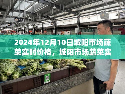 2024年12月10日城阳市场蔬菜实时价格深度测评与全面观察