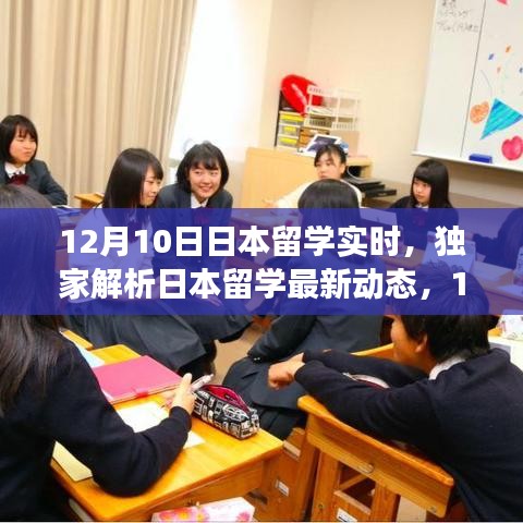 独家解析，日本留学最新动态深度探讨与实时解读（12月10日）