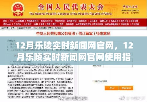 12月乐陵实时新闻网官网使用指南，从入门到熟练掌握