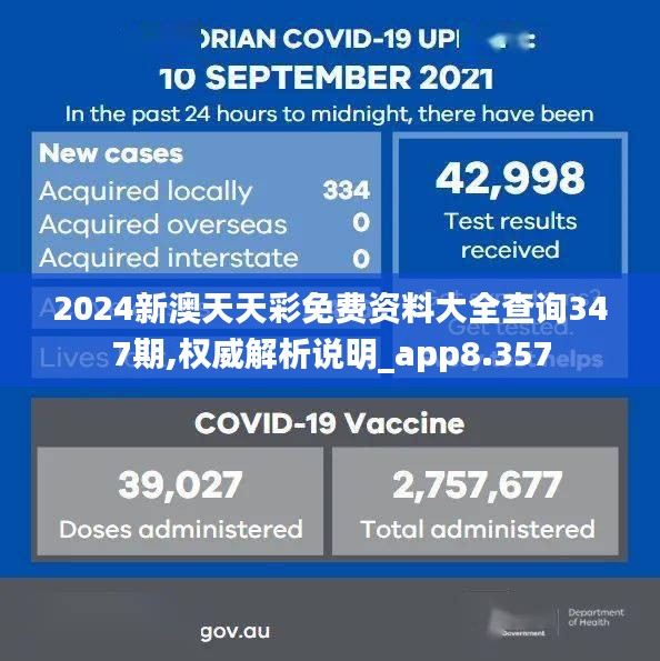 2024新澳天天彩免费资料大全查询347期,权威解析说明_app8.357