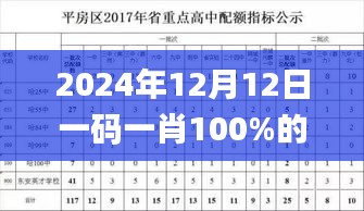 2024年12月12日一码一肖100%的资料,实证分析解释定义_钻石版5.960