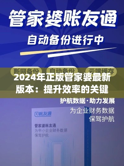 2024年正版管家婆最新版本：提升效率的关键一步