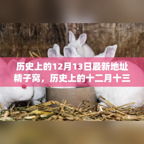 探寻精子窝之旅，历史上的12月13日与内心的宁静与平和探索