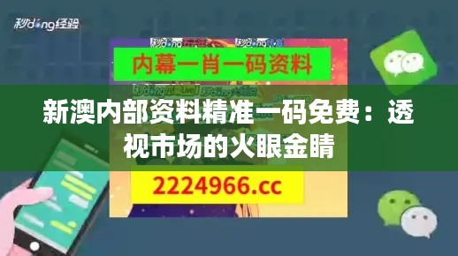 新澳内部资料精准一码免费：透视市场的火眼金睛