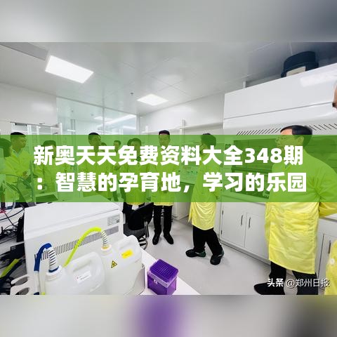 新奥天天免费资料大全348期：智慧的孕育地，学习的乐园