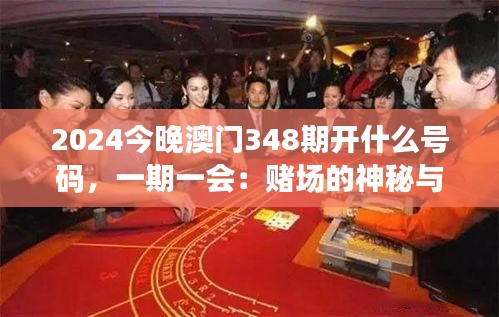 2024今晚澳门348期开什么号码，一期一会：赌场的神秘与魅力