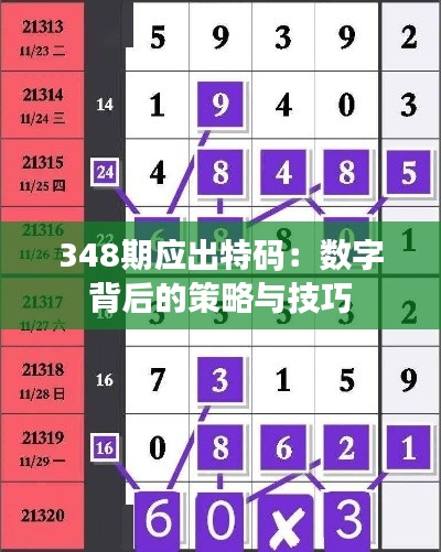 348期应出特码：数字背后的策略与技巧