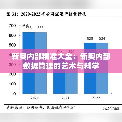 新奥内部精准大全：新奥内部数据管理的艺术与科学