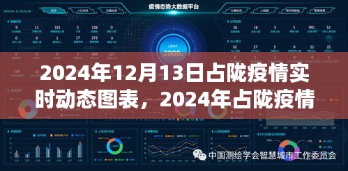 2024年占陇疫情实时动态图表详解与制作指南，初学者与进阶用户必读