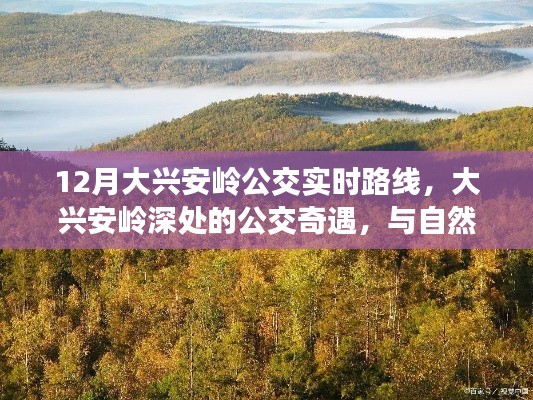 大兴安岭公交奇遇，与自然共舞，探寻心灵宁静之地