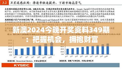 新澳2024今晚开奖资料349期：把握机会，拥抱财富