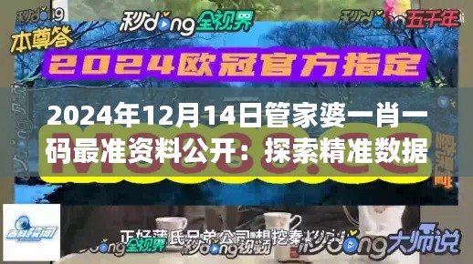 2024年12月14日管家婆一肖一码最准资料公开：探索精准数据的力量