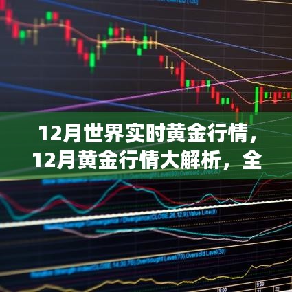 全球黄金市场深度解析，12月实时行情与市场走势探讨