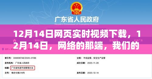 12月14日，共同记忆与实时视频下载的时刻