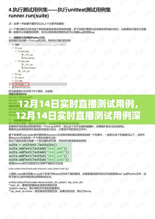 12月14日实时直播测试用例深度解析及实践