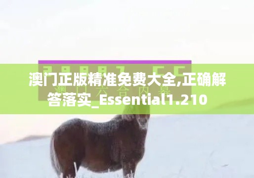 澳门正版精准免费大全,正确解答落实_Essential1.210