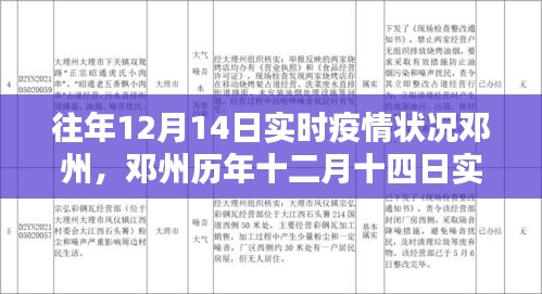 邓州历年十二月十四日实时疫情状况深度解析与评测报告