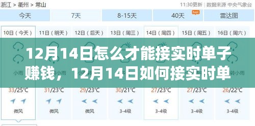 多方观点与个人立场下的实时接单赚钱策略探讨，12月14日如何把握机遇？