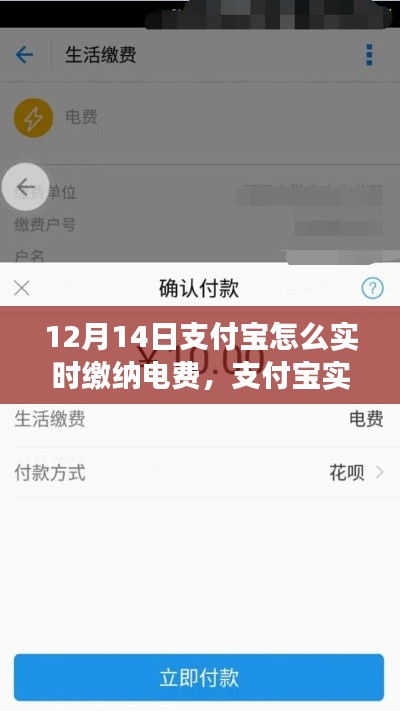 支付宝实时缴纳电费操作指南，功能解析与体验评测（12月14日版）