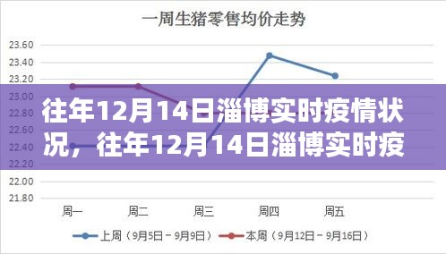 往年12月14日淄博实时疫情状况深度解析与全面评测