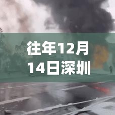 历年12月14日深圳通实时公交服务中断深度评测，原因、影响与应对之策