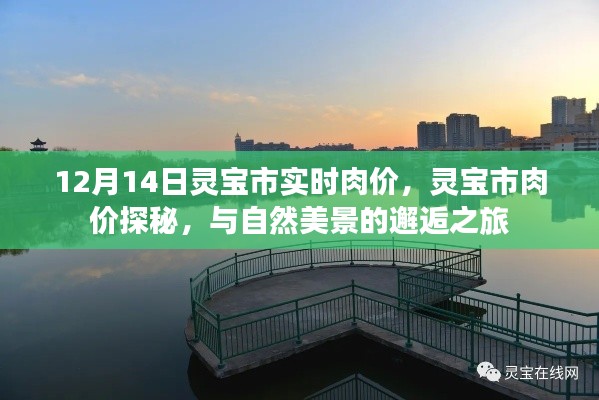 灵宝市肉价探秘，与自然美景的邂逅及最新实时肉价信息