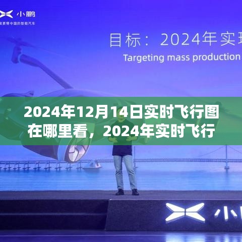 2024年实时飞行图查看指南，深度测评与用户体验分析