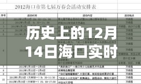 历史上的12月14日海口实时菜价查询网，价值、问题与前景展望