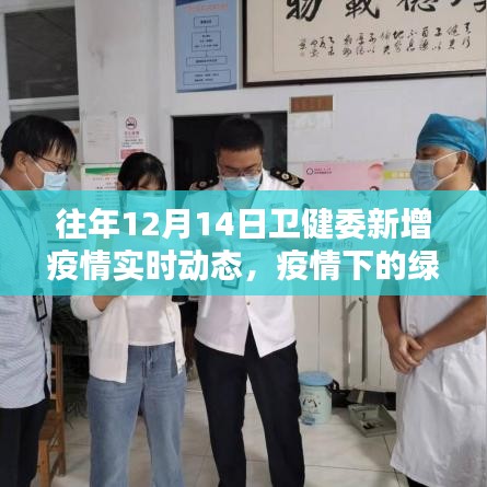 疫情下的绿色征途，寻找内心的宁静港湾与卫健委实时动态更新