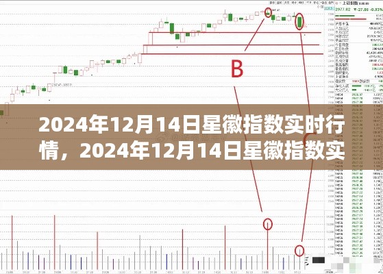 2024年12月14日星徽指数实时行情深度解析