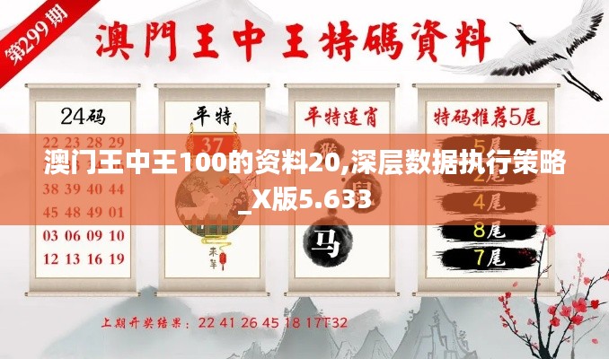 澳门王中王100的资料20,深层数据执行策略_X版5.633