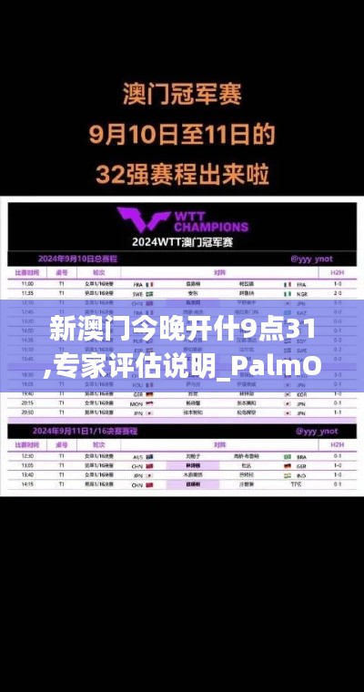 新澳门今晚开什9点31,专家评估说明_PalmOS14.816