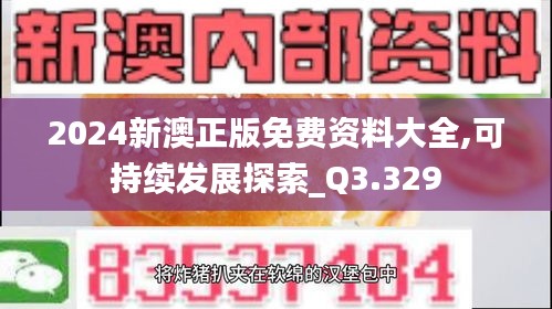 2024新澳正版免费资料大全,可持续发展探索_Q3.329