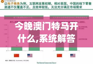 今晚澳门特马开什么,系统解答解释定义_入门版4.981