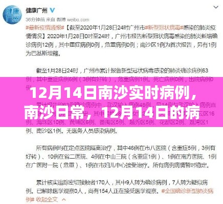 南沙日常，暖心故事与实时病例报道（12月14日）