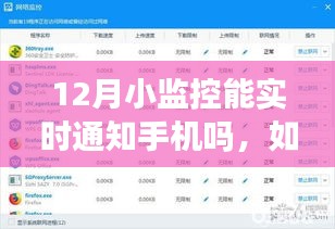 12月小监控实时手机通知设置指南，初学者与进阶用户必备教程