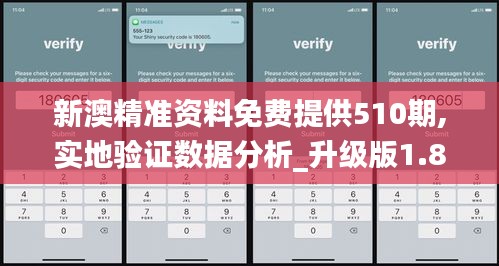新澳精准资料免费提供510期,实地验证数据分析_升级版1.865
