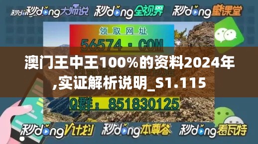 澳门王中王100%的资料2024年,实证解析说明_S1.115