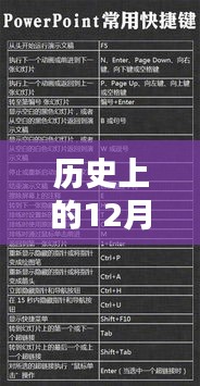 历史上的12月14日实时项目成本Excel管理，优劣分析与影响探讨