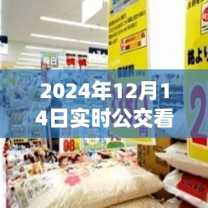 探寻自然美景的宁静之旅，实时公交探寻之旅（2024年12月14日）