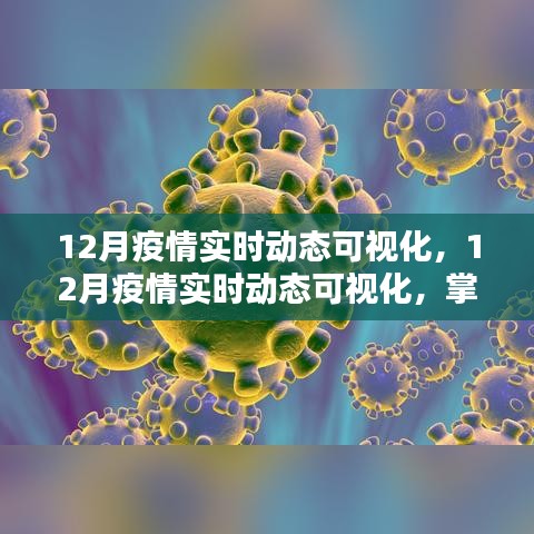 掌握最新动态，12月疫情实时可视化追踪与抗击疫情共同行动