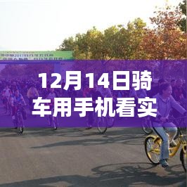 12月14日骑行必备，掌握实时速度查看技巧，初学者也能轻松驾驭