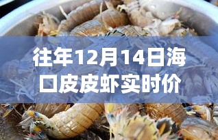 揭秘往年12月14日海口皮皮虾实时价格，市场走势与购买指南全解析