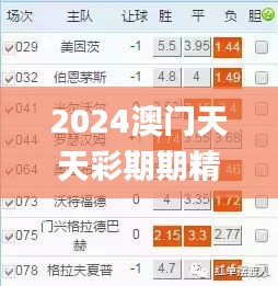 2024澳门天天彩期期精准,最新核心解答落实_Executive11.940