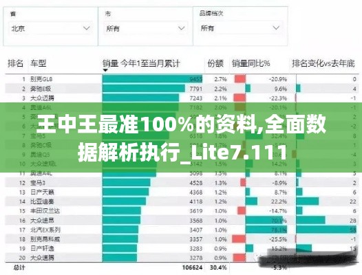 王中王最准100%的资料,全面数据解析执行_Lite7.111