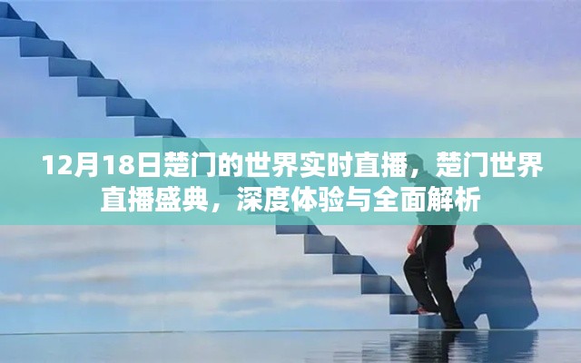 楚门世界直播盛典，深度体验与全面解析