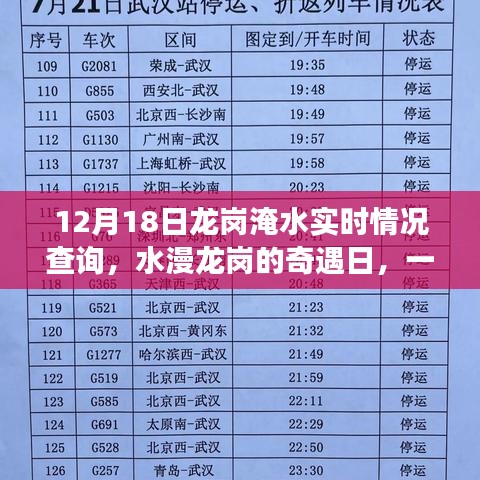 龙岗淹水奇遇日，爱与陪伴的温馨故事，实时情况查询